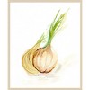 Amanti Art Veggie Sketch Onion by Marcy Chapman Wood Framed Wall Art Print - 4 of 4