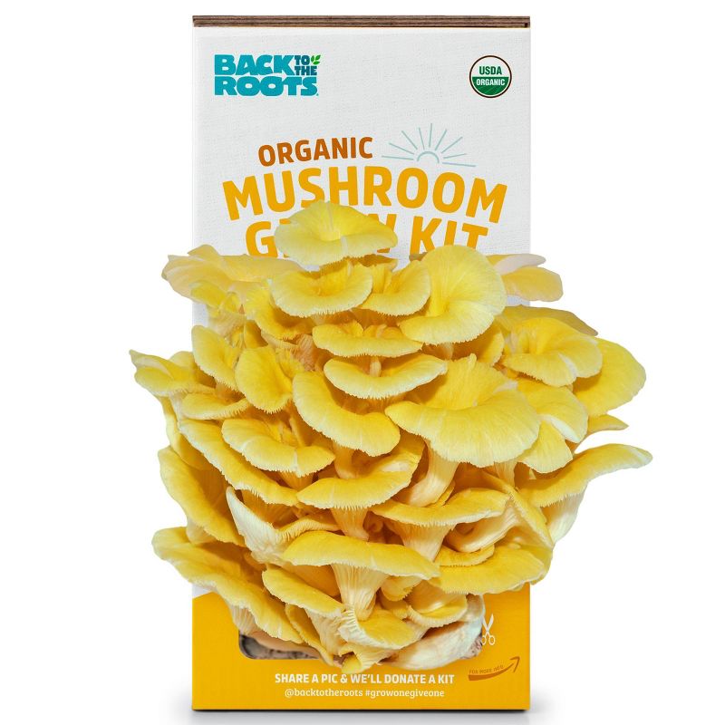 Back to the Roots Organic Mushroom Grow Kit Golden Oyster, 1 of 10