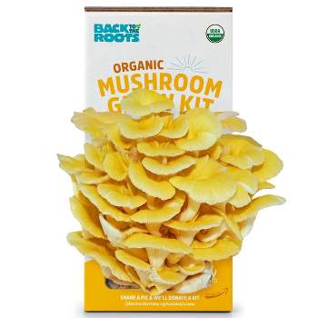 Back to the Roots Organic Mushroom Grow Kit Golden Oyster
