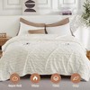 Electric Blanket Heated Throw, Heated Blanket with 10 Heating Levels & 10 Time Settings, Fast Heating Blankets, Machine Washable - 2 of 4