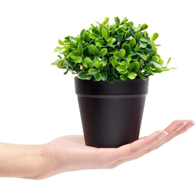 Mini Green Plastic Boxwood Topiary Centerpiece Set