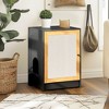 Gulches Seamlessly Blend Function and Style: Black Cat Litter Box Enclosure as a Kitty End Table - 2 of 4