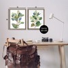 Stupell Industries Soft Eucalyptus Plant Ombre Leaves 2pc Floating Frame Art Set - 3 of 4