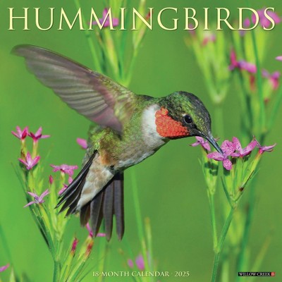 Willow Creek Press Humming Birds 2025 Wall Calendar: Monthly 12x12" Paper, Sewn Binding, All Ages, Blue