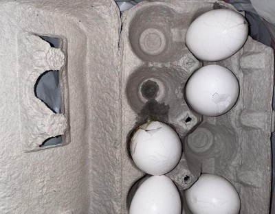 Guest review image 1 of 1, zoom in