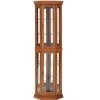 APRILSOUL Lighted Corner Display with Tempered Glass Door, Cabinet with Adjustable Shelf Glass Cabinet Shelves Bead Bulb Included - 2 of 4