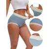 INSPIRE CHIC Women's High Waisted Lace Trim Briefs Cotton Full Coverage Underwear Panties - 3 of 4