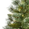 4ft. Slim Snow Tip Pine Artificial Christmas Tree with 100 Clear LED Lights – Petite Holiday X-Mas Décor Tree - 3 of 4