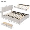 NicBex Upholstered Platform Bed with 1 Twin XL Size Trundle and 2 Drawers for Adults - 3 of 4