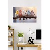 Trends International Reinders: Animals - Pastel Birds Unframed Wall Poster Print White Mounts Bundle 22.375" x 34" - 2 of 4
