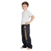 Intimo Harry Potter Boys Houses Plaid Pajama Lounge Pants - 4 of 4