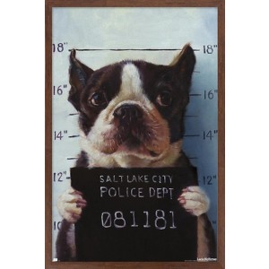 Trends International Lucia Heffernan Art - Boston Mug Shot Framed Wall Poster Prints - 1 of 4