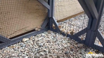 Black Metal Outdoor Cat Tunnel with Waterproof Cover