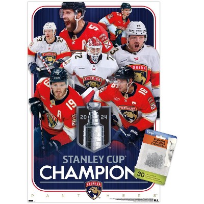 clear push pins bundle