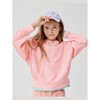 The Children's Place Boys Active Long Sleeve Garment Dyed Premium Fleece Sweatshirt - 3 of 4