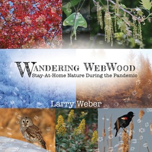 Wandering Webwood - by  Larry Weber (Paperback) - 1 of 1
