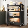 Fortune Candy 45.7'' Tall, 4 Tier Pantry Cabinet with 3 Door, Recyoled Metal - 2 of 4