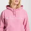 Champion Adult Sizing Iconic Embroidered Hoodie - 3 of 4