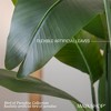 Maia Shop 5ft Bird of Paradise Artificial Plant, Fake Plants for Home Decor, Indoor Tropical Decoration - 3 of 4