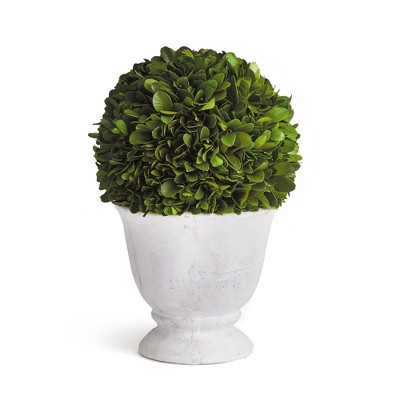 Plum & Post Boxwood Ball Topiary In Pot Small