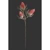 Red Eliana Stem – 35.5"H Artificial Flower with Bendable Petals, EVA Foam & Wire Construction (Set of 6) By Kalalou - 3 of 3