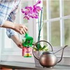 Miracle-Gro 30-10-10 Water Soluble Orchid Food, 8oz - 3 of 4