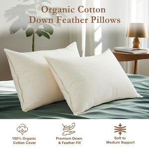 Puredown 2 Pack 100% Organic Cotton Gusseted Down Feather Bed Pillows, Pillow-in-a-pillow Design - 1 of 4