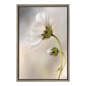16" x 23" Heavenly Cosmos Framed Canvas Wall Art - Amanti Art: Mandy Disher Botanical Print - 1 of 4