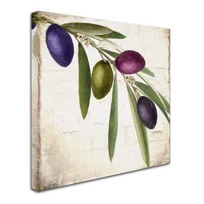 Trademark Fine Art -Color Bakery 'Olive Branch IV' Canvas Art