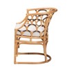 bali & pari Aster Modern Bohemian Natural Brown Rattan Armchair - 4 of 4