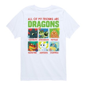 Boys' - How to Train Your Dragon - All My Friends Are Dragons Short Sleeve Graphic T-Shirt - 1 of 4