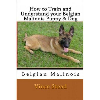 How to Train and Understand Your Belgian Malinois Puppy & Dog - by  Vince Stead (Paperback)