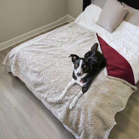 Pet protector blanket new arrivals