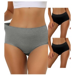 Allegra K Women's High-Waisted Lace Trim Tummy Control Full Coverage Briefs 3 Packs - 1 of 4