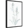 Amanti Art Lambs Ear Sage IV Bleached by Chris Paschke Framed Canvas Wall Art - 3 of 4