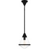 Hidalgo 1-Light Mini Pendant Light - 4 of 4