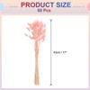 Unique Bargains Natural Dried Floral Bunny Tail Artificial Plants 60 Pcs - 2 of 4