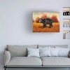 Trademark Fine Art - Crista Forest Black Bear Autumn Stroll Canvas Art - image 2 of 4