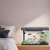 Aquarium Fish Tank Starter Kit, Fish Tank, Mini Desktop Rectangular Fish Tank With Filter And Oxygen Supply Tabletop Decoration for Snails, Guppy - 4 of 4