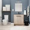 Bencmate Bathroom Storage Cabinets, Bathroom Vanity,30 Inch Bathroom Vanity with Black Ceramic Sink, Freestanding Bathroom Sink Cabinet with 2 - 2 of 4