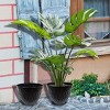 Set of 2 Resin Indoor/Outdoor Planters Black - Alpine Corporation: Stonelite Material, No Assembly, Garden Decor - 2 of 3