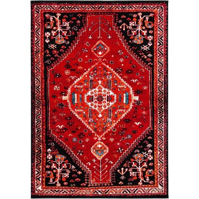 Vintage Hamadan VTH201 Power Loomed Area Rug  - Safavieh