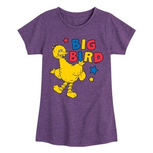 Girls' - Sesame Street - Big Bird Color Block Fitted Short Sleeve Graphic T-Shirt - 1 of 4