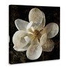 Stupell Industries Rustic Patterned Magnolia Canvas Wall Art - 3 of 4