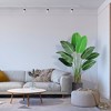 4 Ft/5FT/6FT Bird of Paradise Artificial Plant, Artificial Bird of Paradise Plant,1pack or 2pack - 3 of 4