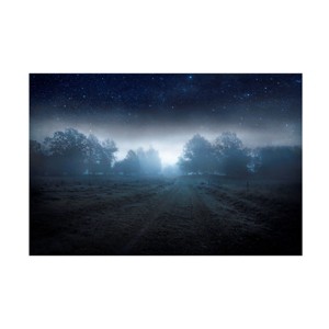 Trademark Fine Art Christian Lindsten  Visions of the night Canvas Wall Art - 1 of 4