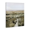 Stupell Industries Distant Shoreline Grassy Beach Path Cloudy Horizon Canvas Art, 30" x 40" - 2 of 4