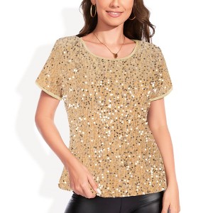 Anna-Kaci Women's Short Sleeve Crew Neck All-Over Sequin Embellished Top Stylish Sparkling Blouse - 1 of 4