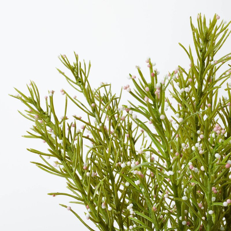 Flowering Rosemary Potted - Threshold&#8482; designed with Studio McGee, 3 of 6