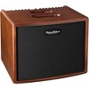 Hughes & Kettner Era 1 250W 1x8 Acoustic Combo Amp - 4 of 4